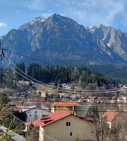 Mountain View Buşteni Exterior foto