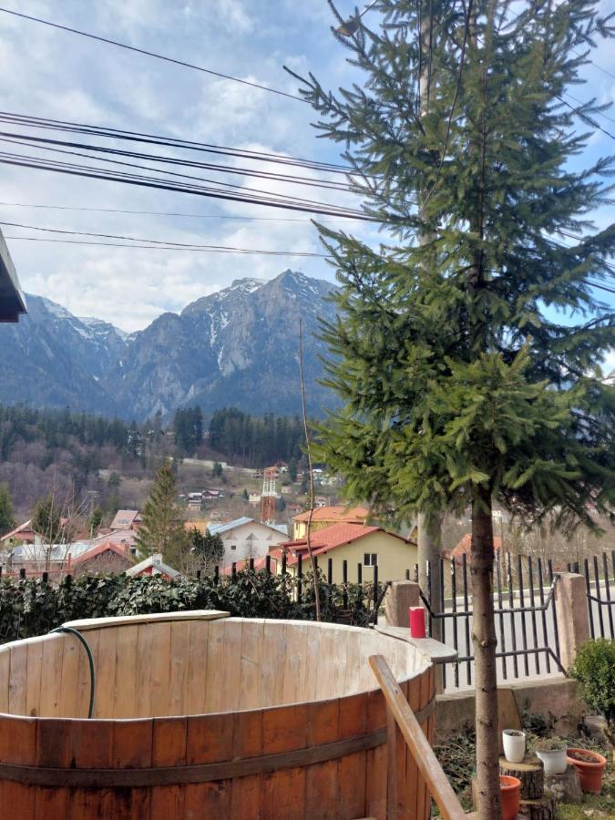 Mountain View Buşteni Exterior foto