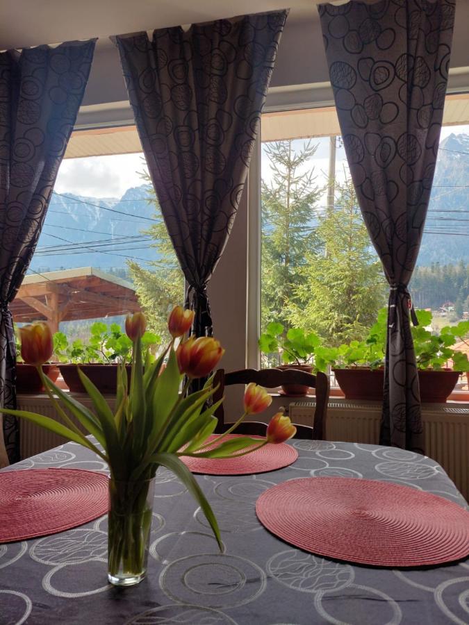 Mountain View Buşteni Exterior foto